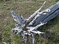 Patagonie 133